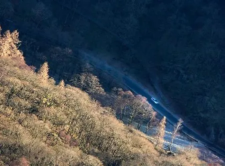 Pensión Victoria *